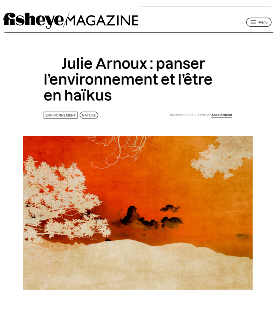 Fisheye,magazine, Interview, Julie Arnoux, Artiste