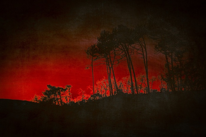 Julie Arnoux, Photographe, Artistique, Exposition Photo, Contempory Art, Arcachon, Incendie