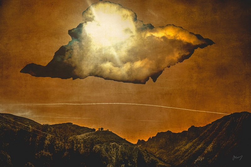 Julie Arnoux Photographe (1)