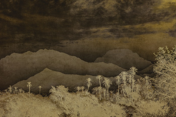 Julie Arnoux Photographe (2)