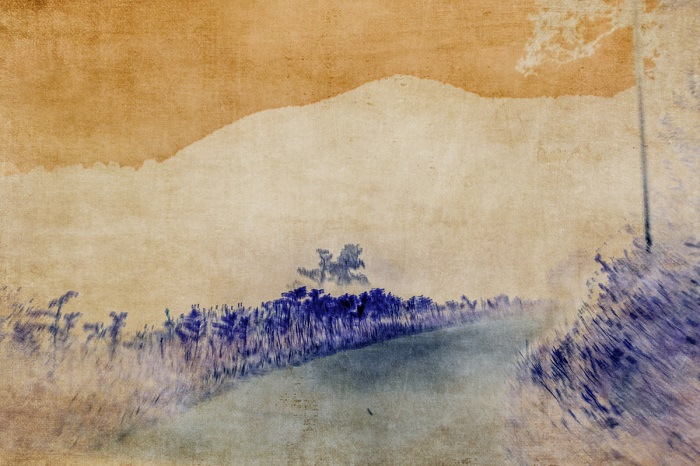 Julie Arnoux, Photographe, Artistique, Exposition Photo, Contempory Art, Hossegor (1)