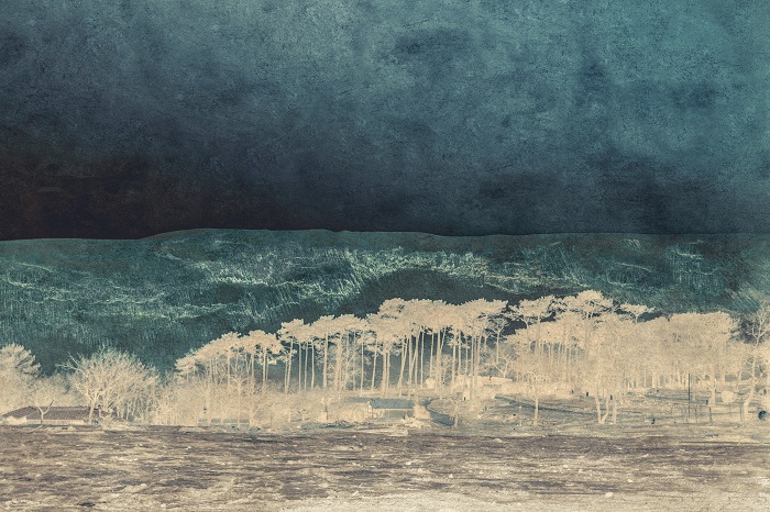 Julie Arnoux Photographies (8)