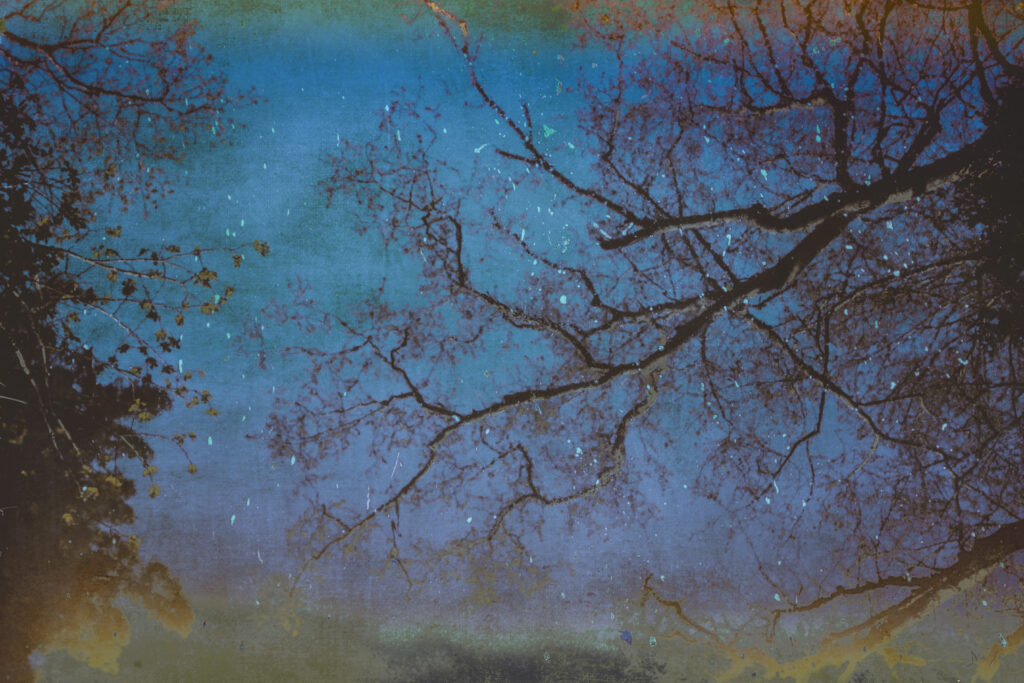 julie arnoux photographe