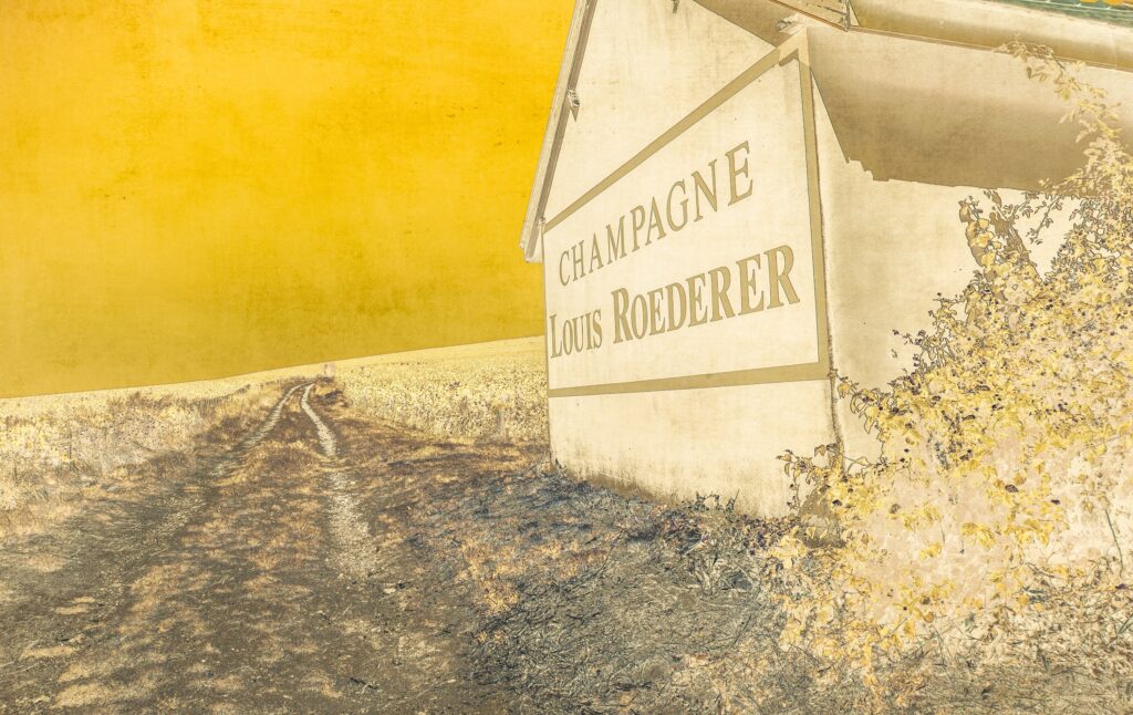 Julie Arnoux — Champagne Louis Roederer × Fisheye Magazine