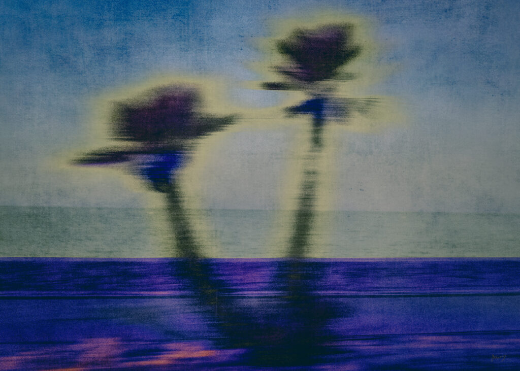 Julie arnoux photographe (2)